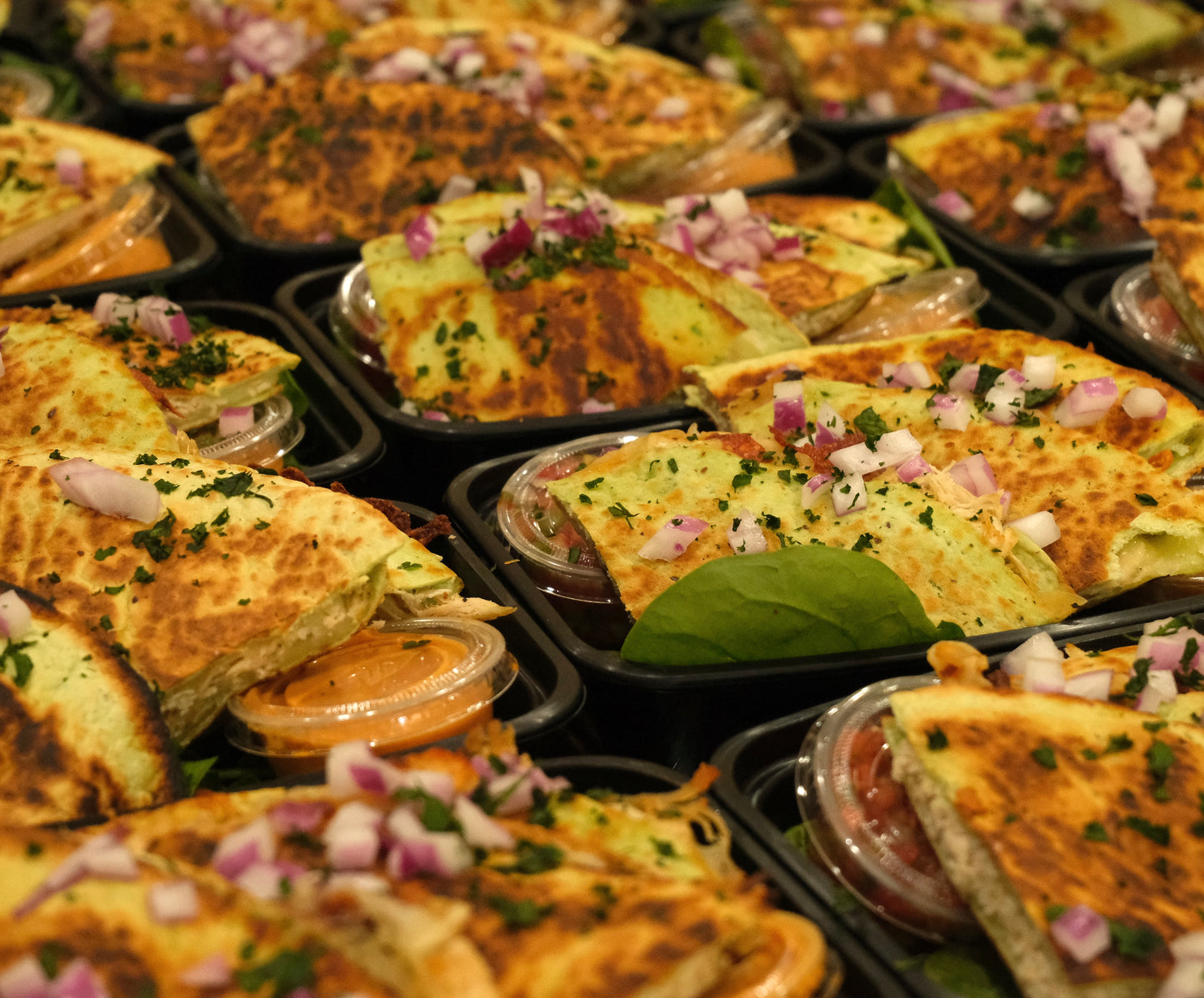 Chicken Quesadilla